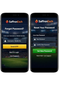 SaffronExch password recovery screen for fixing login issues securely