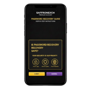 Secure and encrypted SaffronExch password recovery system